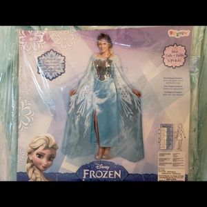 Disney Frozen Elsa Adult Costume (small 4-6)
